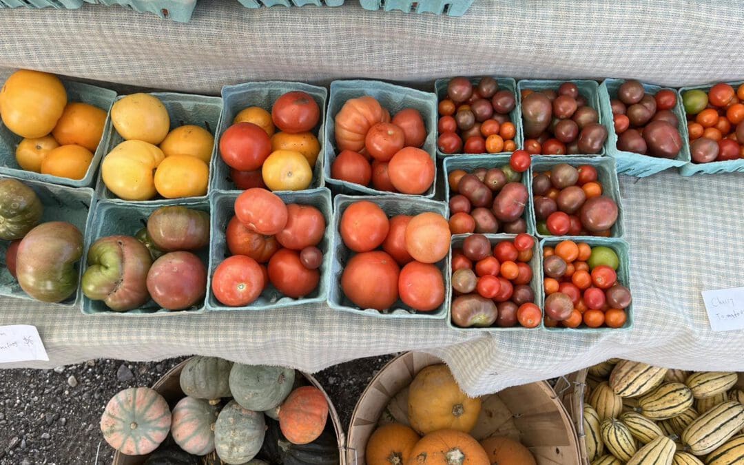 Visions for a Thriving Resilient Food System for Lewiston Auburn