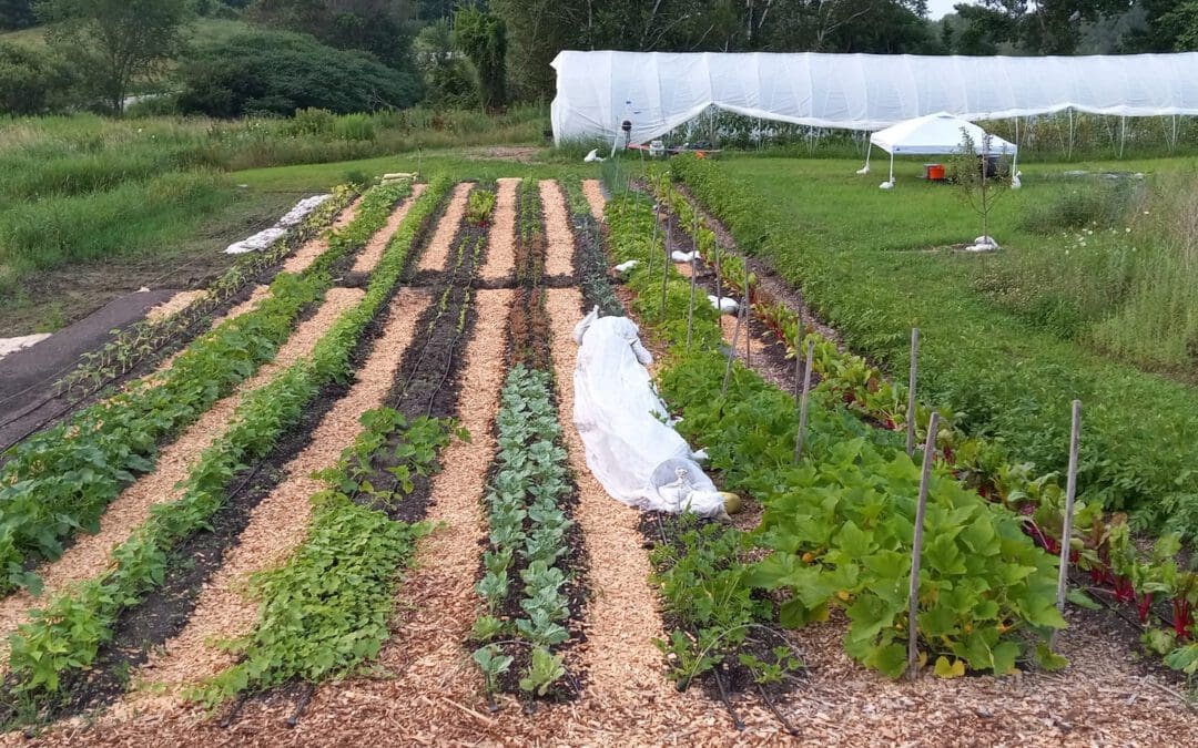 Advocate for comprehensive plans inclusive of food and agriculture