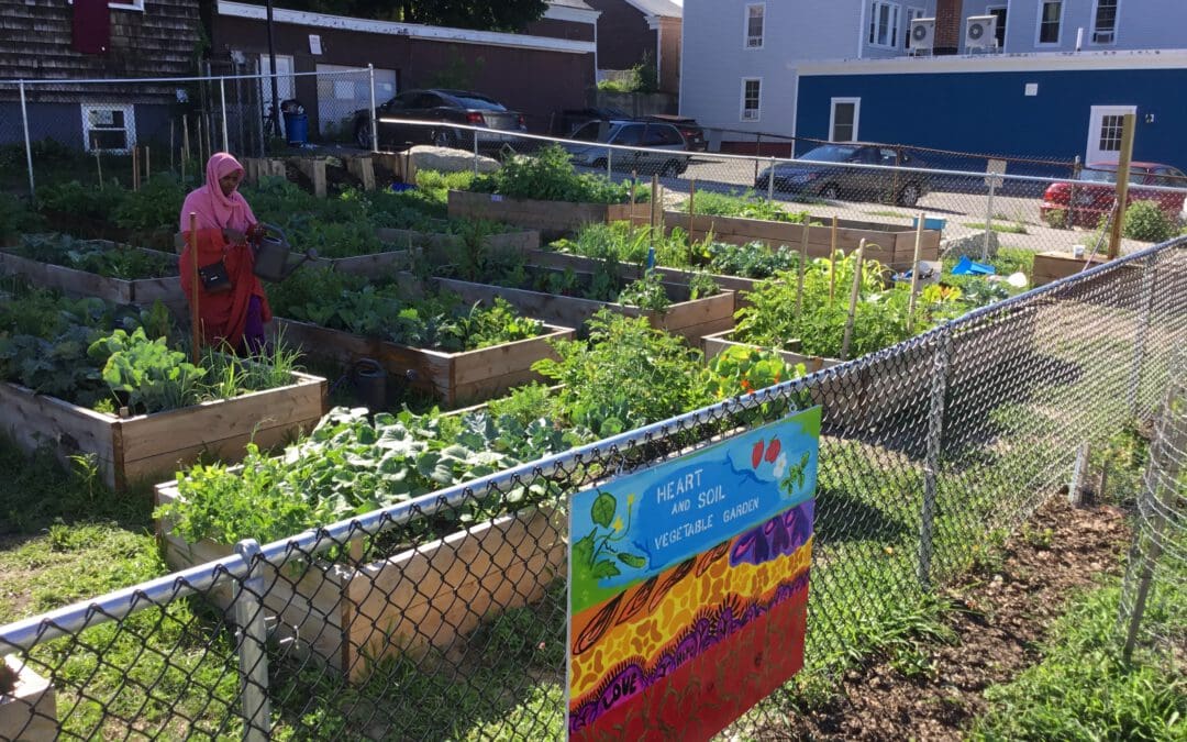 Protect Community Gardens for the future