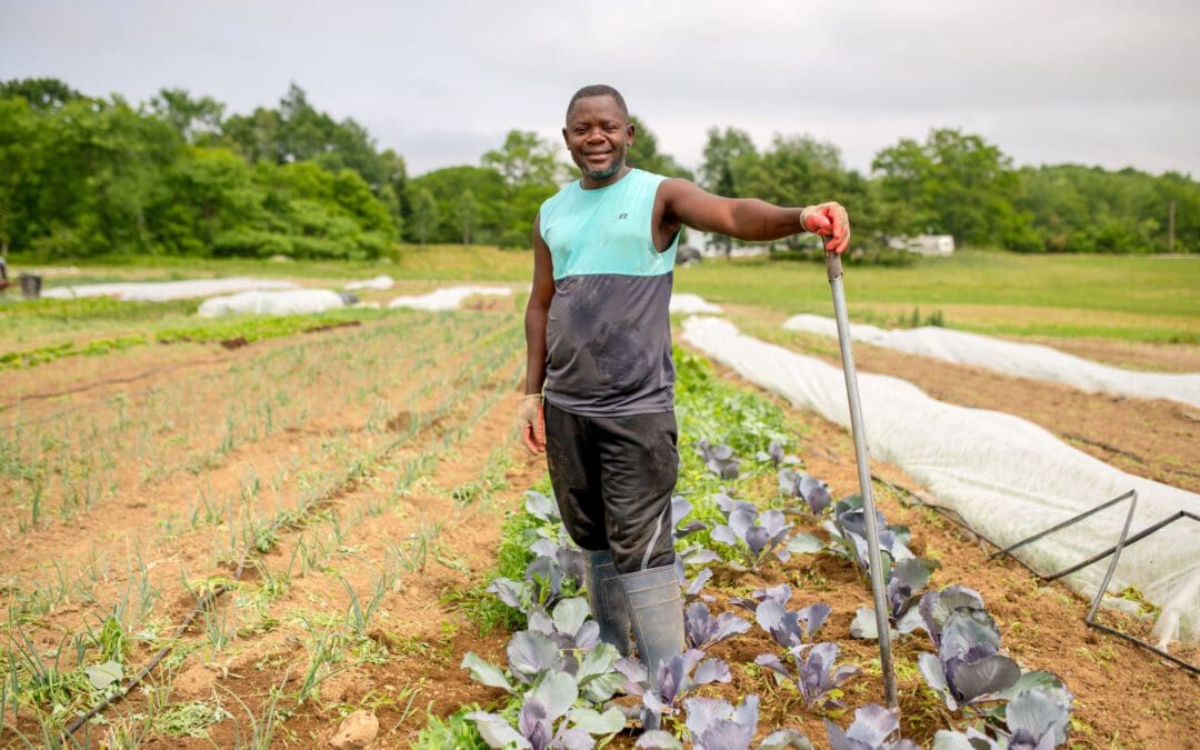 Ensure land security and justice for marginalized groups
