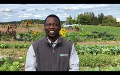 Securing Land to Grow Food in LA