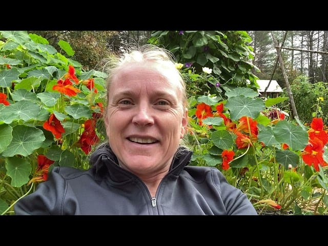 Developing a Community Food Center in LA